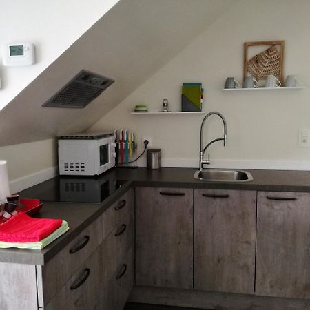 Vakantieverblijf Volmolen B&B Маасейк Экстерьер фото